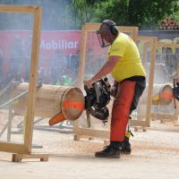 holzsportwettkampf_20.JPG